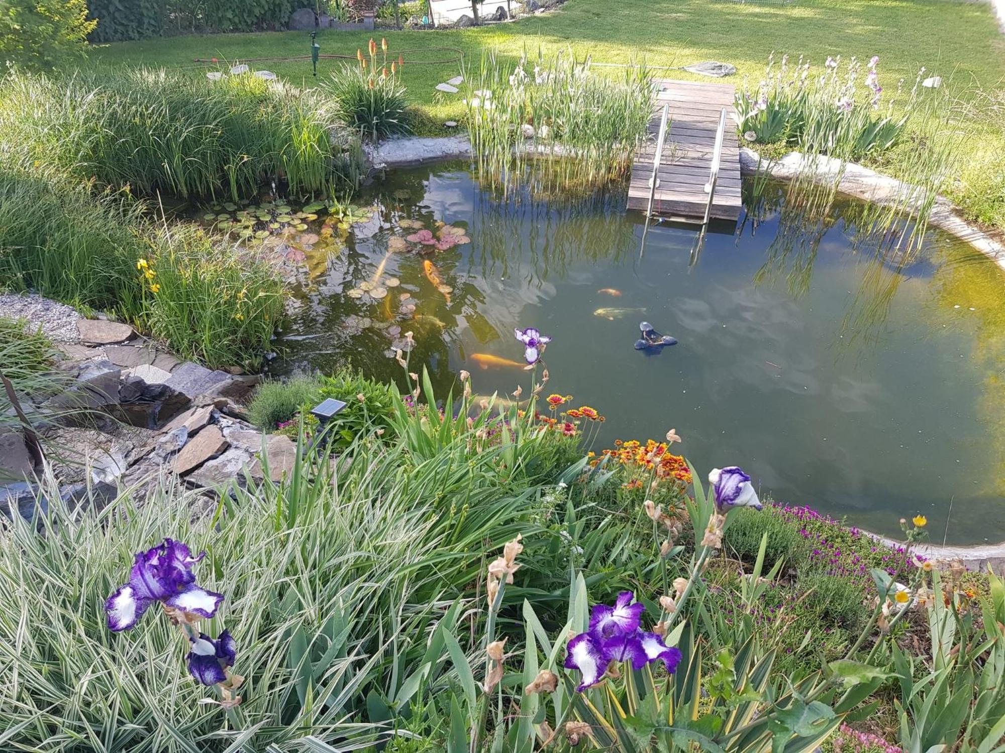 Wohlfuehlen Am Gartenteich Oberzissen Εξωτερικό φωτογραφία